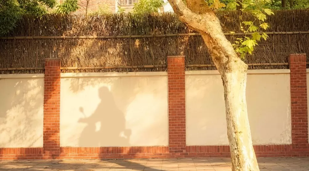 在场·手记|潺潺流水穿过了群山一座座-第1张图片- 在场·手记|潺潺流水穿过了群山一座座-第1张图片-