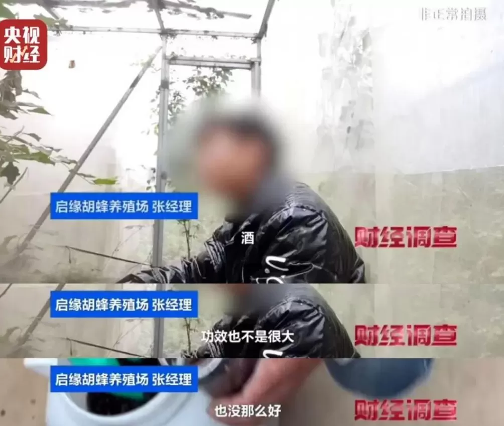 “杀人蜂”遭滥养!有人赚得盆满钵满-第4张图片- “杀人蜂”遭滥养!有人赚得盆满钵满-第4张图片-