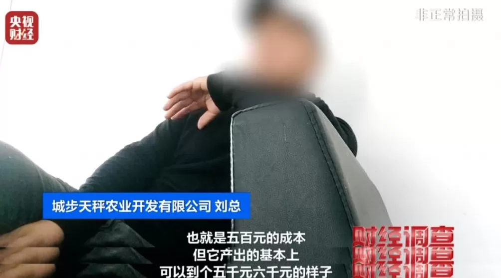 “杀人蜂”遭滥养!有人赚得盆满钵满-第12张图片- “杀人蜂”遭滥养!有人赚得盆满钵满-第12张图片-