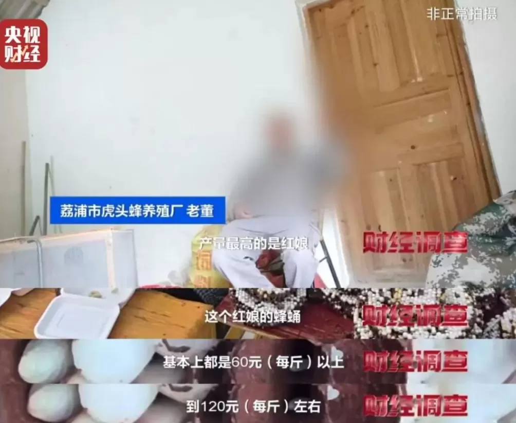 “杀人蜂”遭滥养!有人赚得盆满钵满-第18张图片- “杀人蜂”遭滥养!有人赚得盆满钵满-第18张图片-