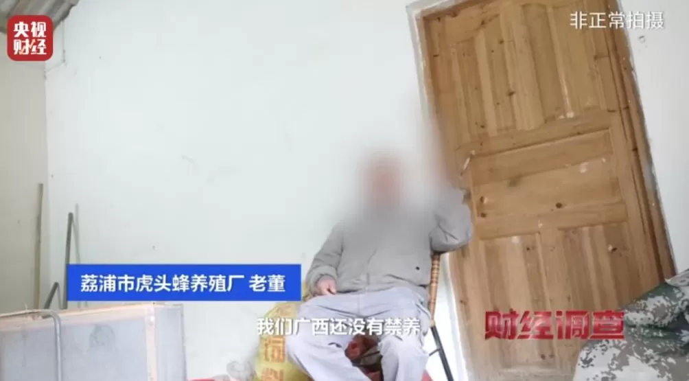 “杀人蜂”遭滥养!有人赚得盆满钵满-第17张图片- “杀人蜂”遭滥养!有人赚得盆满钵满-第17张图片-