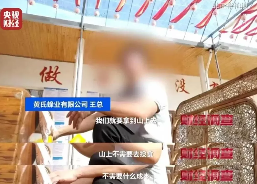 “杀人蜂”遭滥养!有人赚得盆满钵满-第22张图片- “杀人蜂”遭滥养!有人赚得盆满钵满-第22张图片-