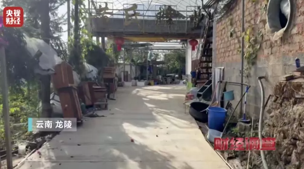 “杀人蜂”遭滥养!有人赚得盆满钵满-第20张图片- “杀人蜂”遭滥养!有人赚得盆满钵满-第20张图片-