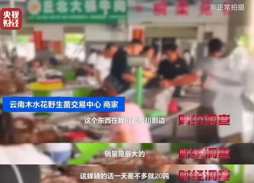 “杀人蜂”遭滥养!有人赚得盆满钵满-第23张图片- “杀人蜂”遭滥养!有人赚得盆满钵满-第23张图片-