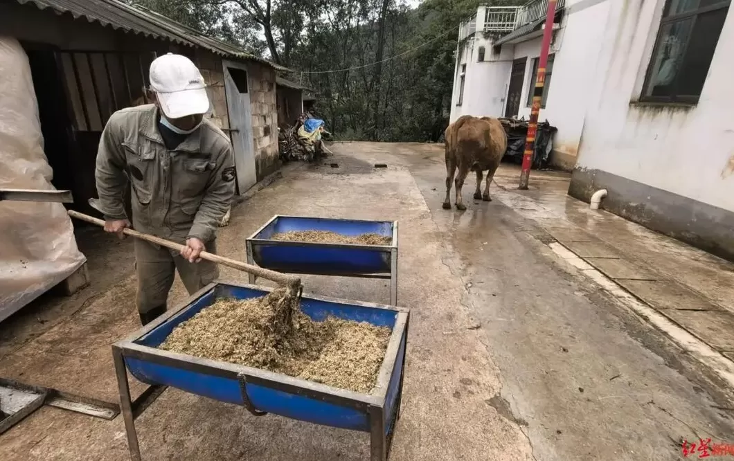 丈夫肇事逃逸被刑拘,网红小英再成焦点,云南寻甸村民:已数月未住村里-第4张图片- 丈夫肇事逃逸被刑拘,网红小英再成焦点,云南寻甸村民:已数月未住村里-第4张图片-