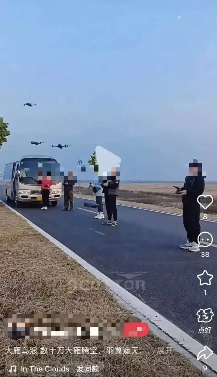 全世界的动物,都怕了这种出片神器-第4张图片- 全世界的动物,都怕了这种出片神器-第4张图片-