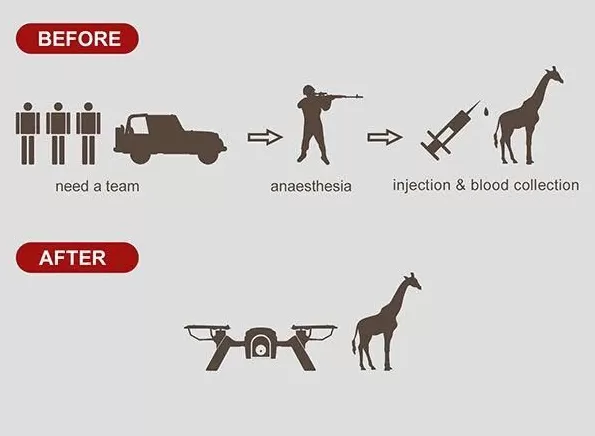 全世界的动物,都怕了这种出片神器-第5张图片- 全世界的动物,都怕了这种出片神器-第5张图片-