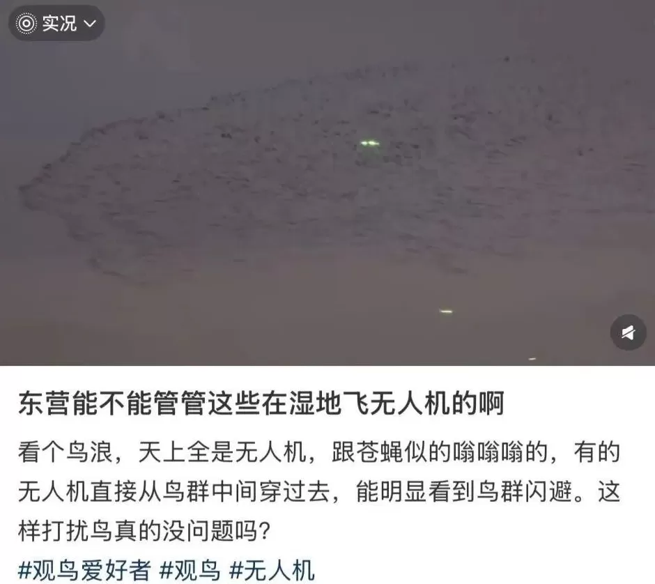 全世界的动物,都怕了这种出片神器-第9张图片- 全世界的动物,都怕了这种出片神器-第9张图片-