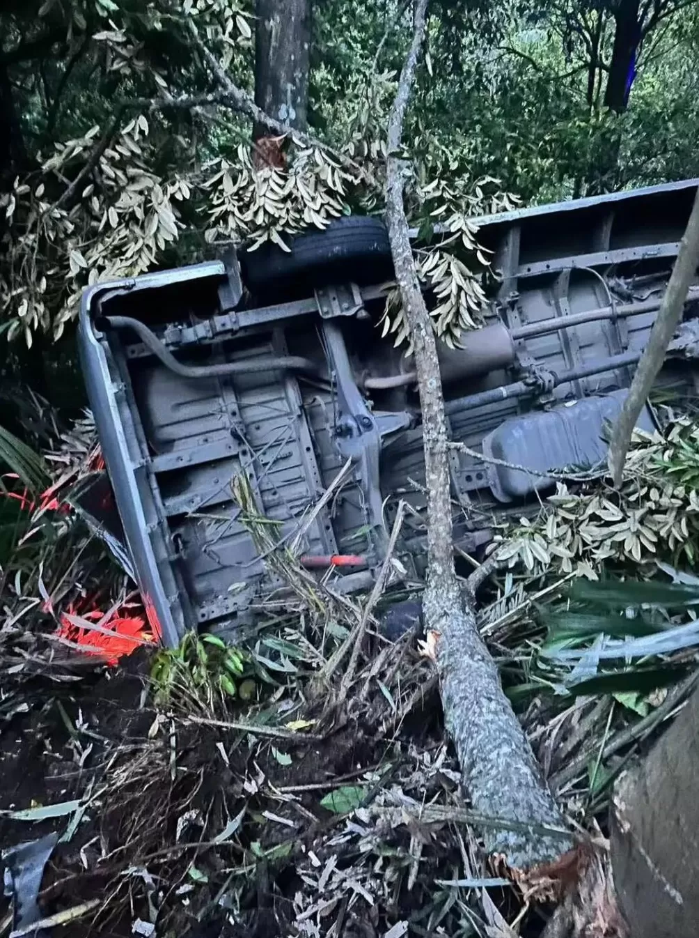 中国公民5死8伤!巴厘岛凌晨车祸亲历者发声:司机直接离开了现场-第1张图片- 中国公民5死8伤!巴厘岛凌晨车祸亲历者发声:司机直接离开了现场-第1张图片-