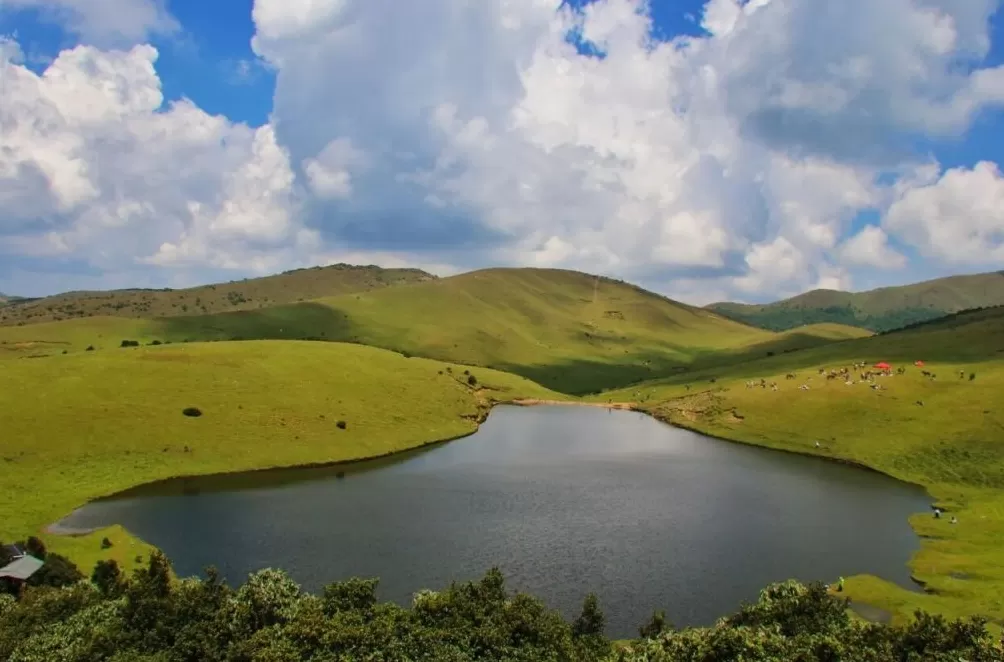 大理鸟吊山保护区能徒步吗？洱源县：出于生态保护和安全考虑，禁止游客进入-第2张图片-