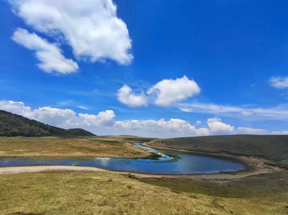 大理鸟吊山保护区能徒步吗？洱源县：出于生态保护和安全考虑，禁止游客进入-第3张图片-