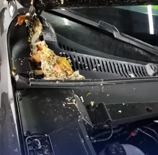 武汉一万达广场污水管爆裂,顾客新车被淋:恶臭难忍-第1张图片- 武汉一万达广场污水管爆裂,顾客新车被淋:恶臭难忍-第1张图片-