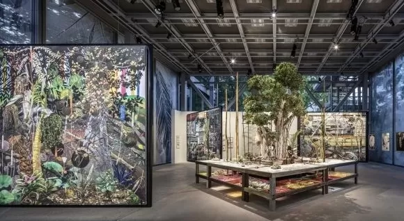 混合与共生:科恰的植物哲学-第3张图片- 混合与共生:科恰的植物哲学-第3张图片-