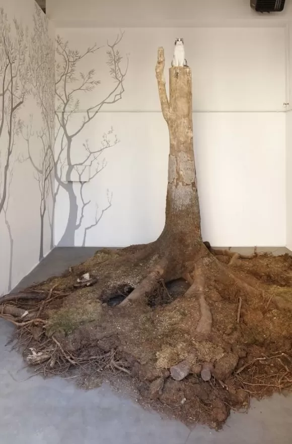 混合与共生:科恰的植物哲学-第4张图片- 混合与共生:科恰的植物哲学-第4张图片-