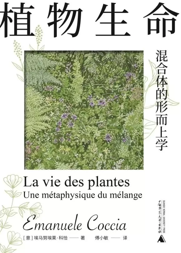 混合与共生:科恰的植物哲学-第6张图片- 混合与共生:科恰的植物哲学-第6张图片-