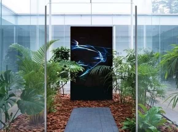 混合与共生:科恰的植物哲学-第5张图片- 混合与共生:科恰的植物哲学-第5张图片-