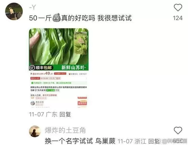 超市50块钱一斤的网红菜,竟是云南人的“绿化带”-第3张图片- 超市50块钱一斤的网红菜,竟是云南人的“绿化带”-第3张图片-