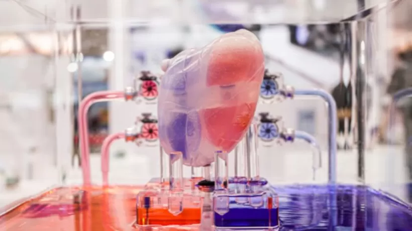 IPO雷达|“人工心脏”价格走低,核心医疗产品商业化难题待解-第1张图片- IPO雷达|“人工心脏”价格走低,核心医疗产品商业化难题待解-第1张图片-