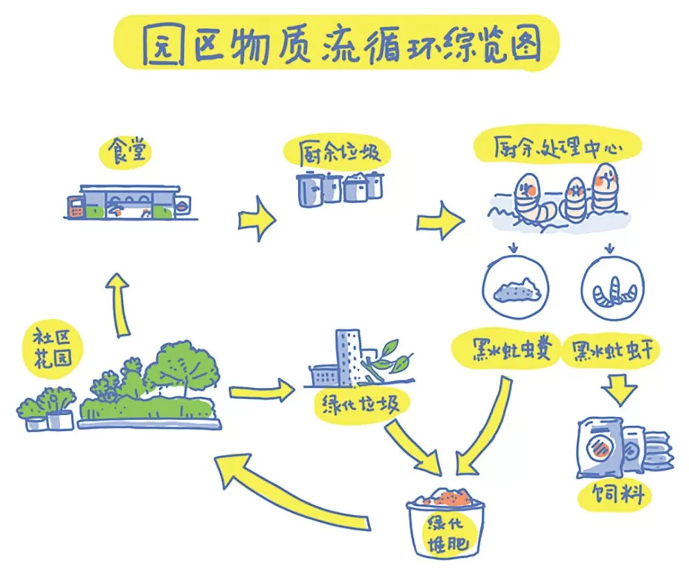 厨余垃圾“再生”记-第2张图片- 厨余垃圾“再生”记-第2张图片-
