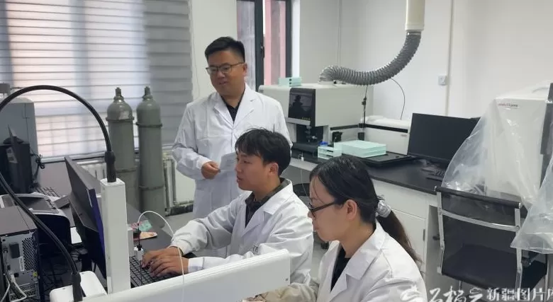 新疆棉秆如何点“草”成金-第2张图片- 新疆棉秆如何点“草”成金-第2张图片-