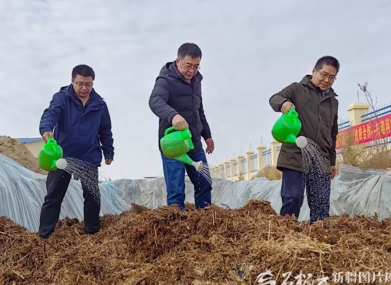 新疆棉秆如何点“草”成金-第3张图片- 新疆棉秆如何点“草”成金-第3张图片-