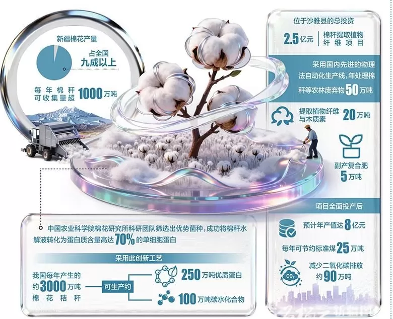 新疆棉秆如何点“草”成金-第1张图片- 新疆棉秆如何点“草”成金-第1张图片-