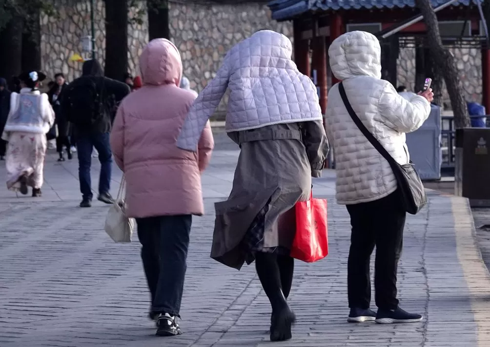 城事|多地气温大跳水,谁是寒风中的保暖王者?-第14张图片- 城事|多地气温大跳水,谁是寒风中的保暖王者?-第14张图片-