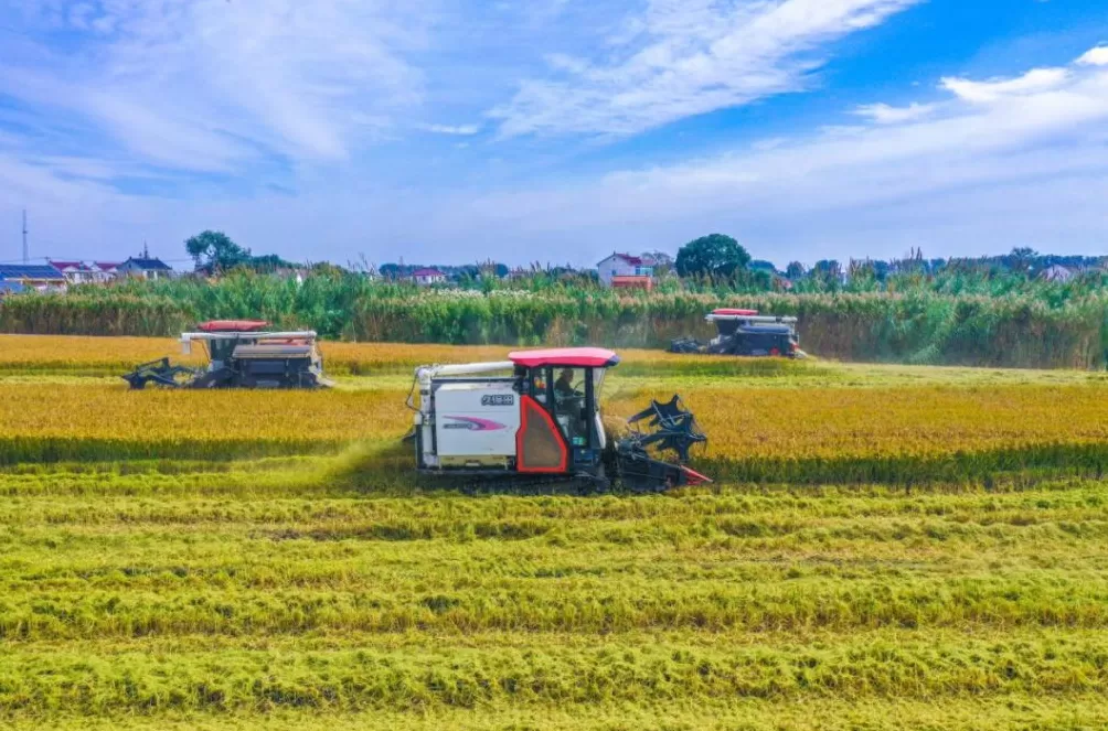 江苏东台:沃野之上,万象“耕”新-第1张图片- 江苏东台:沃野之上,万象“耕”新-第1张图片-