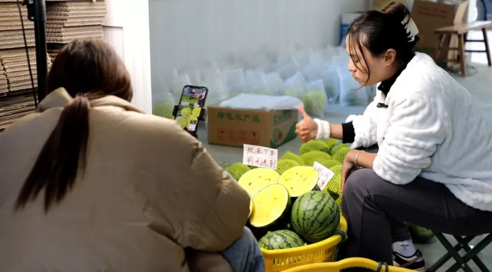 江苏东台:沃野之上,万象“耕”新-第5张图片- 江苏东台:沃野之上,万象“耕”新-第5张图片-