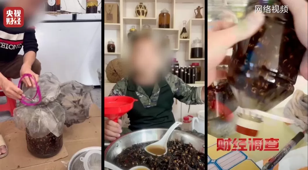 媒体:“杀人蜂”生意链,不该继续游走在监管盲区里-第2张图片- 媒体:“杀人蜂”生意链,不该继续游走在监管盲区里-第2张图片-