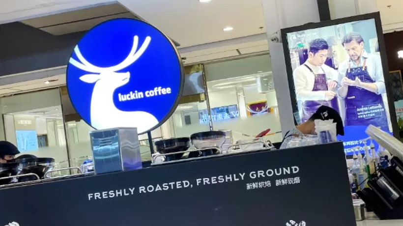 瑞幸咖啡三季度营收同比增五成,一年新增近8000家门店-第2张图片- 瑞幸咖啡三季度营收同比增五成,一年新增近8000家门店-第2张图片-