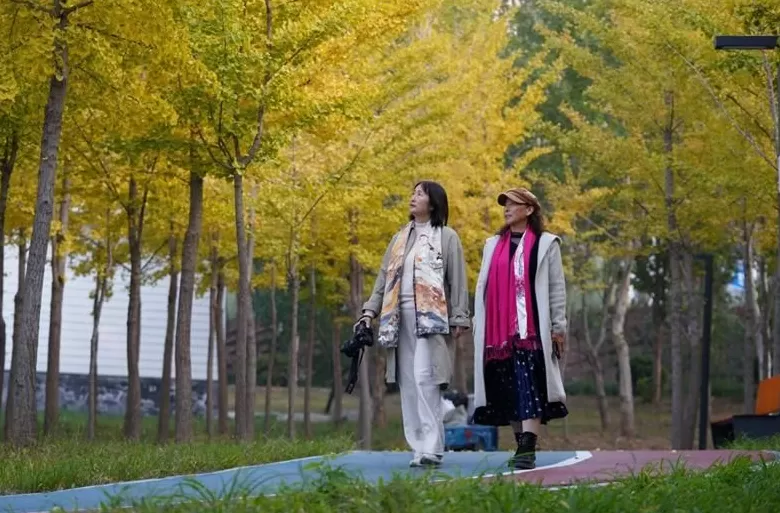 新闻纵深·解码宜居县城新样本|小成本如何“改”出大幸福-第5张图片- 新闻纵深·解码宜居县城新样本|小成本如何“改”出大幸福-第5张图片-