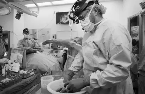 转基因猪器官移植创存活时间纪录-第1张图片- 转基因猪器官移植创存活时间纪录-第1张图片-