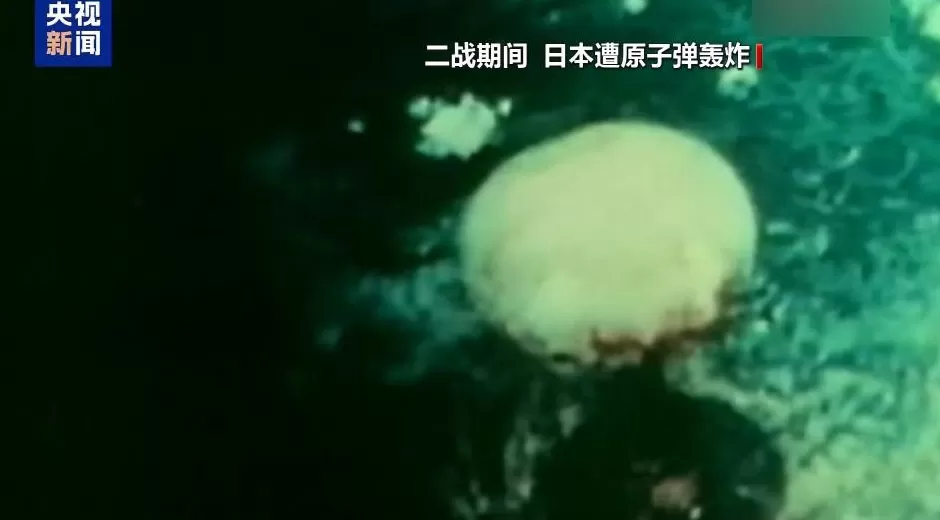 错误言论后果已现搞事的高市错在哪？-第5张图片-