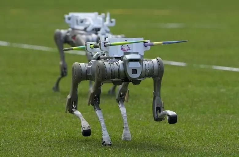 全运会｜“大湾鸡”和机器人的百米对决，谁赢了？-第2张图片-