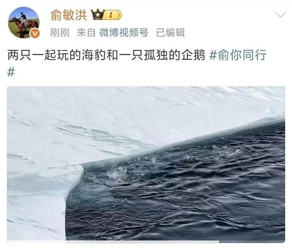 俞敏洪又连发10条南极游视频；此前其发全员信遭吐槽，全文5次提及自己在南极，打工人表示无法共情-第2张图片-