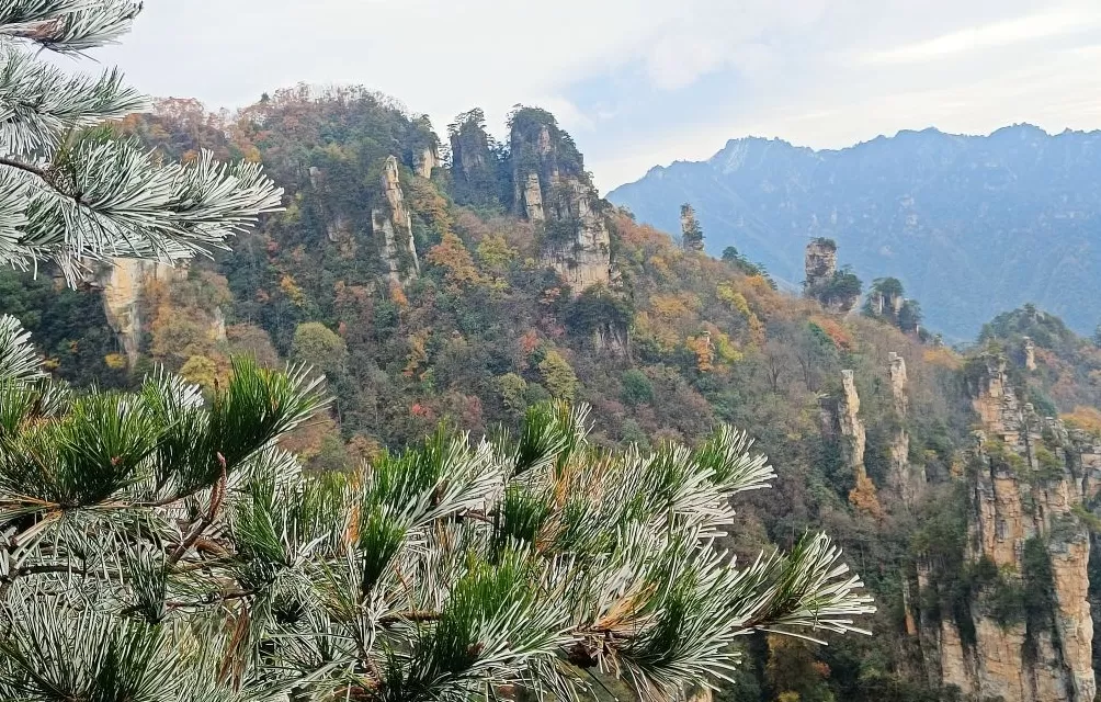 城事|寒潮南下,冰冻线越过长江,全国今起转晴朗干燥模式-第6张图片- 城事|寒潮南下,冰冻线越过长江,全国今起转晴朗干燥模式-第6张图片-