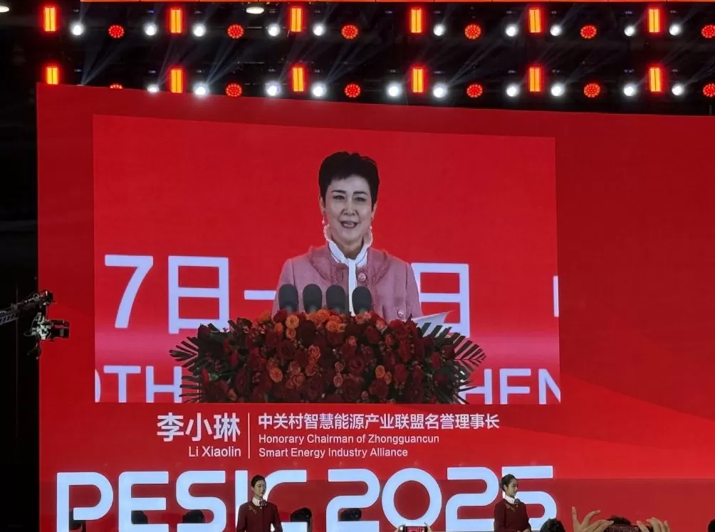 李小琳：诗书画艺术的智慧正为光储产业发展提供东方启示-第1张图片-