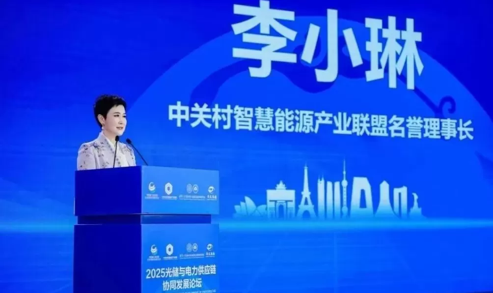 李小琳：诗书画艺术的智慧正为光储产业发展提供东方启示-第2张图片-