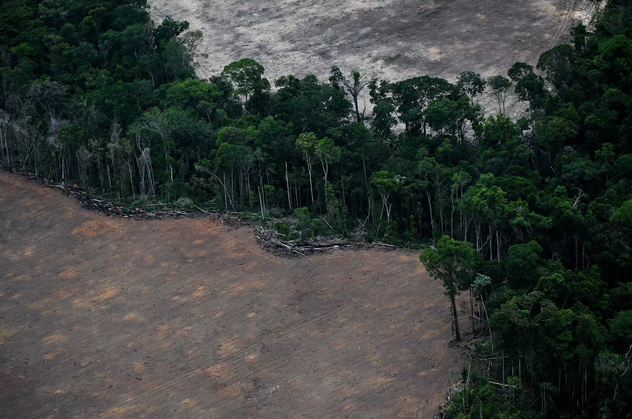 会场内外博弈此起彼伏,贝伦气候大会期待收获实质进展-第1张图片- 会场内外博弈此起彼伏,贝伦气候大会期待收获实质进展-第1张图片-