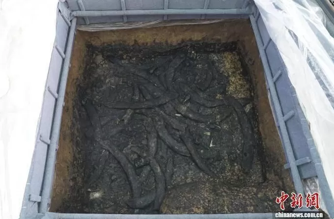 三星堆四号祭祀坑研究新成果:坑内燃烧残留物为异地埋藏-第1张图片- 三星堆四号祭祀坑研究新成果:坑内燃烧残留物为异地埋藏-第1张图片-