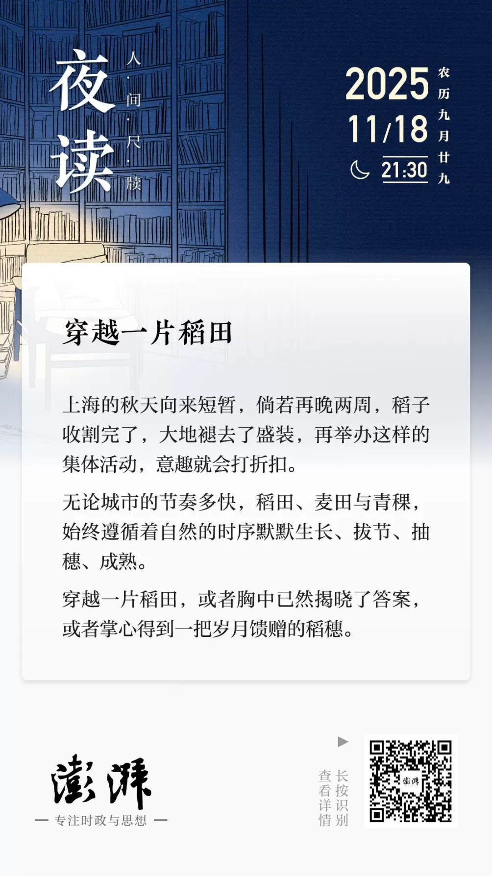 夜读｜穿越一片稻田-第2张图片-