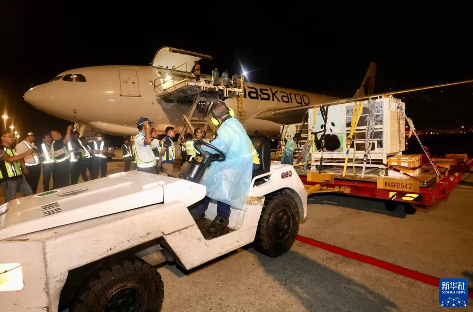 大熊猫“辰星”“晓月”抵达马来西亚吉隆坡-第1张图片-