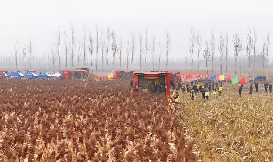 汾阳香飘四海：杏花村遥指千亿白酒产业链，“中国厨师之乡”走向世界-第4张图片-