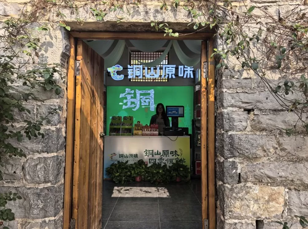 “苏北第一强区”徐州铜山，“文武双全”谱写发展新篇-第4张图片-