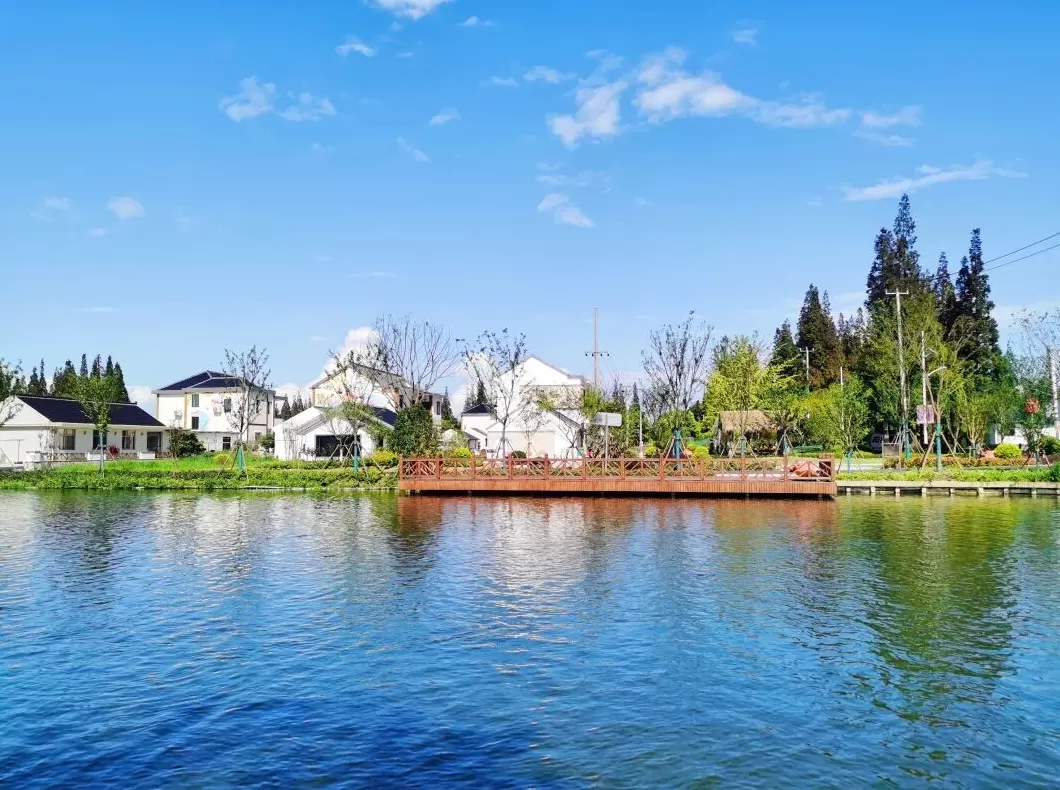 湿地保护率达60.73%，上海崇明如何建设世界级生态岛？-第3张图片-