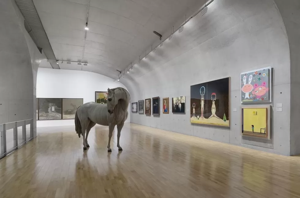 跨越半世纪的观看：从美国抽象名家到赵无极罗中立-第8张图片-