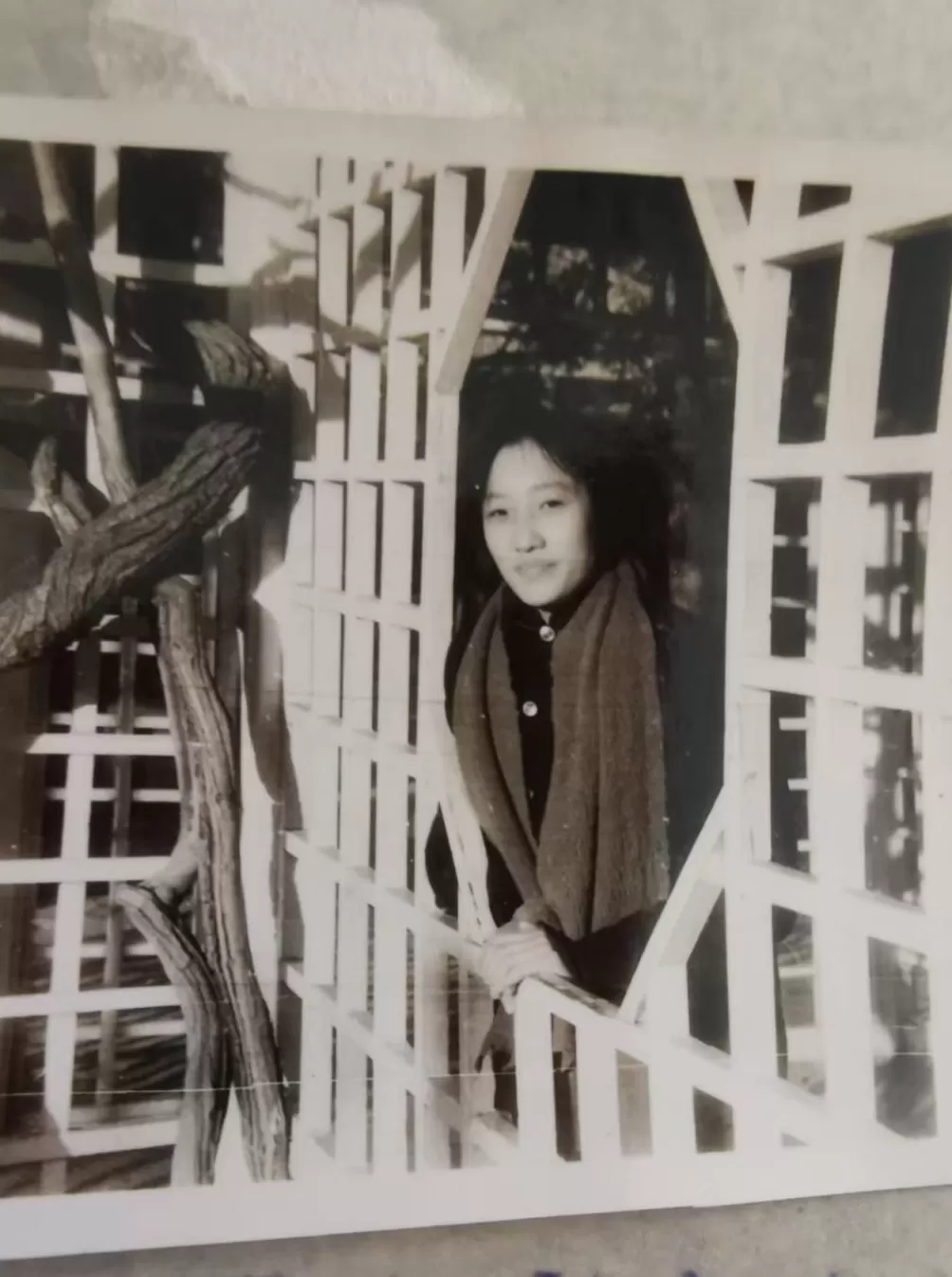 罗瑞卿大将之女罗点点逝世，享年74岁-第3张图片-