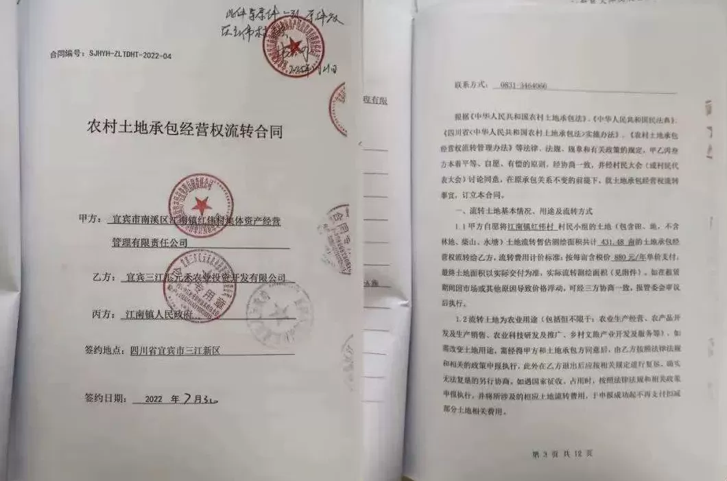 法治面｜为整治土地“非粮化”百亩苗圃被毁，四川高院裁定提审-第3张图片-