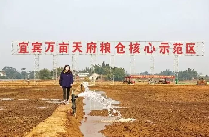 法治面｜为整治土地“非粮化”百亩苗圃被毁，四川高院裁定提审-第2张图片-